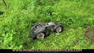 The Tenacity Of A Husqvarna 435X Automower Working In Tall Weeds Briars Vines And Other Obstacles [upl. by Yenattirb]