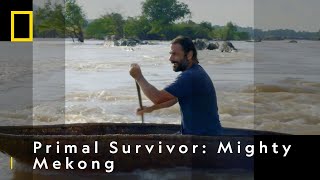 Hazen Attempts To Conquer The Khone Falls  Primal Survivor Mighty Mekong  National Geographic UK [upl. by Ssew675]