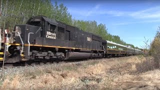 GREEN and GOLD CN BUSINESS CARS featuring IC SD70 CN intermodal TRAIN [upl. by Netsirhk]