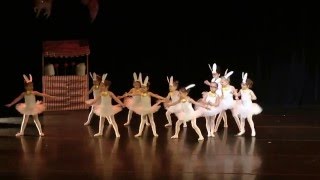 Medley spectacle janvier 2016  Académie de danse SEVERAC [upl. by Gaultiero751]