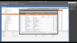 Tutorial Datanorm Kataloge importieren in der Lexware Warenwirtschaft 2013 [upl. by Oigaib]