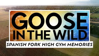 Goose in the Wild  Episode 111  SFHS Gym Memories [upl. by Ivonne]