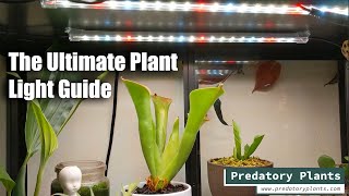 The Ultimate Plant Light Guide [upl. by Fasta]