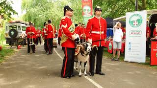 Mercian Regiment 1st June 2019 Tamworth [upl. by Cassilda]