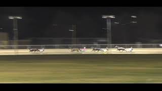 Mildura Harness Racing Club 5 Aug 2024 Trial 5 [upl. by Mcleroy263]