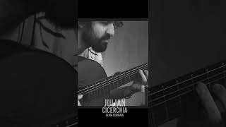 Alma guarani Julian Cicerchia guitarrasolo folcloreargentino guitar chamame litoral [upl. by Hylan]