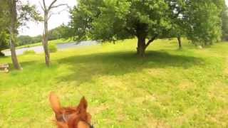 Waredaca Helmet Cam BN XC and SJ [upl. by Sall508]