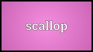 Scallop Meaning [upl. by Aleka]