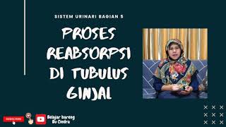 Sistem Urinari bagian 6 Proses Reabsorpsi di Tubulus Distal [upl. by Eojyllib]