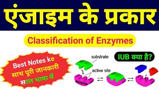 एंजाइम का वर्गीकरण  Classification of Enzymes  types of enzymes in hindi  enzyme ke prakar  bio [upl. by Belinda]