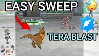 Tera Flying Dragonite Is So Good Pokemon Showdown Random Battles High Ladder [upl. by Eatnoid]