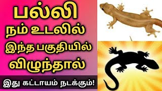 பல்லி நம் உடலில் இந்த பகுதியில் விழுந்தால் இது கட்டாயம் நடக்கும்   palli vilum palangal in tamil [upl. by Terryl]