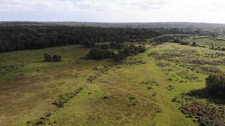 New Forest Hampshire England 4k Drone Footage [upl. by Chrisy]