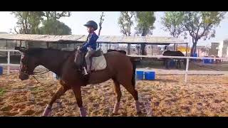 Horse Heaven Equestrian Sports Academy Jaipur [upl. by Rust]