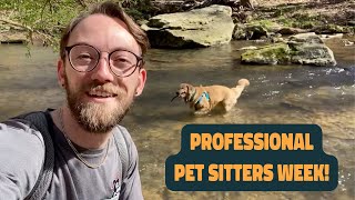 What Makes a Pet Sitter a PROFESSIONAL [upl. by Tirrell]