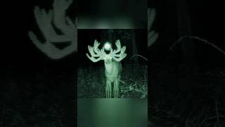 SkinWalker Disguised As Animals ☢️ PRT65 viral ytshorts [upl. by Adler]