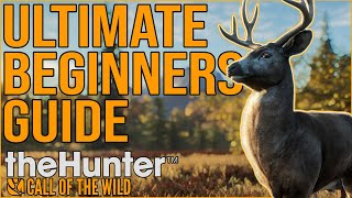 theHunter Call of the Wild  Ultimate Beginners Guide for 2022 [upl. by Ozzy]