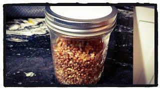 Making Grain Spawn Jars  Propagating Oyster Mushrooms PART 3 [upl. by Chi]