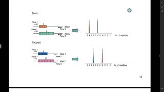 STR Analysis [upl. by Loraine]