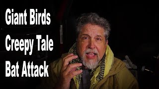 3 Questions  Giant Birds True Creepy Story And The Attack of The Kelso Bat [upl. by Alano]