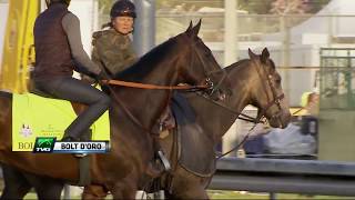 Spendthrift Farms General Manager Ned Toffey on 2018 Kentucky Derby Contender Bolt dOro [upl. by Katerina]