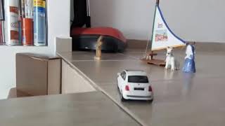 Stop motion LA MONJA Y EL PERRO [upl. by Elohcan908]