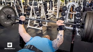 3 Quick Tips To INCREASE Bench Press Strength  Steve Gentili [upl. by Ahsasal]