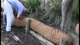 Installing Coir Log Walls to Control Bank Erosion [upl. by Eehsar]