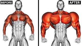 UPPER BODY WORKOUT WITH DUMBBELLS Shoulderforearmschesttricepsbackbiceps [upl. by Curt]