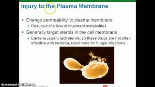 Microbiology Chapter 20 lecture part 2 [upl. by Heady786]