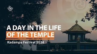 A day in the life of the Temple  International Summer Festival 2024 [upl. by Yeo]