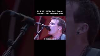 BLINK 182  All The Small Things  The Mark Tom and Travis Show [upl. by Nellek]