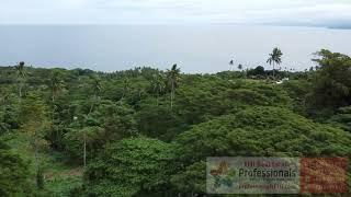 RELISH THE VIEWS amp ENJOY A MORE RELAXED WAY OF LIFE ON FIJI’s TAVEUNI ISLAND [upl. by Madi896]