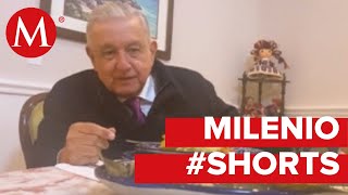 AMLO se come unos tamalitos por el Día de la Candelaria Shorts [upl. by Drarreg]