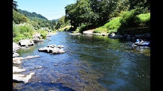 Alsea River Swimming  Oregon Coast Range [upl. by Jamila]