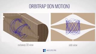 Orbitrap  Ion Motion [upl. by Ahtnamas949]