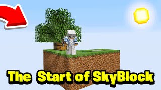 STARTING MY NEW ISLAND The Archon SKYBLOCK CHAOS 1 [upl. by Leunammi369]