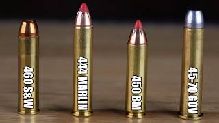 Big Bore Cartridges Compared Velocity Tests and more 460 SampW vs 444 Marlin vs 450 BM vs 4570 Govt [upl. by Nepets449]