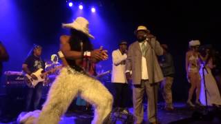 George Clinton Parliament  Funkadelic Live  Le Trianon Paris 17072013 [upl. by Nessie]