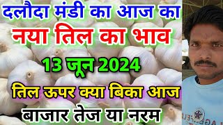 दलौदा मंडी का आज तिल का भाव 13 जून 2024 til ka bhav daloda nya til ka bhav daloda Mandi bhav [upl. by Slotnick523]