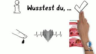 Anatomie 2Go  Die Blutgerinnung kurz erklärt [upl. by Nuawad]