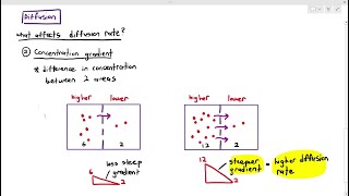 46 Factors Affecting Diffusion Rate Cambridge AS amp A Level Biology 9700 [upl. by Rame]