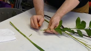 How To Use A Florist Knife Safely [upl. by Mauralia]