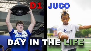 Day in the Life of a Student Athlete D1 vs Juco [upl. by Agata]