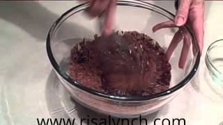 Recipe For Chocolate Chip Cookies 2015 Homemade Chocolate Recipes [upl. by Orrocos]