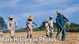 The Forgotten Lives of Black Sharecroppers  Rare History in Photos [upl. by Meenen]