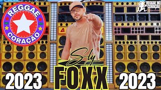 CD SLY FOXX 2023  SÓ PEDRAS DE QUALIDADE  REGGAE 2023 [upl. by Hgieliak900]