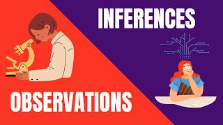 Observations and Inferences Whats the Difference [upl. by Okoy]