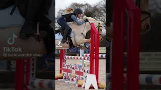 Harlow And popcorn Jumping SLO MO 😍 [upl. by Ttemme]