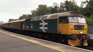 DORSET COAST STATESMAN CHARTER CLASS 47s D1924 47810 amp 47593 070824 [upl. by Daniels]